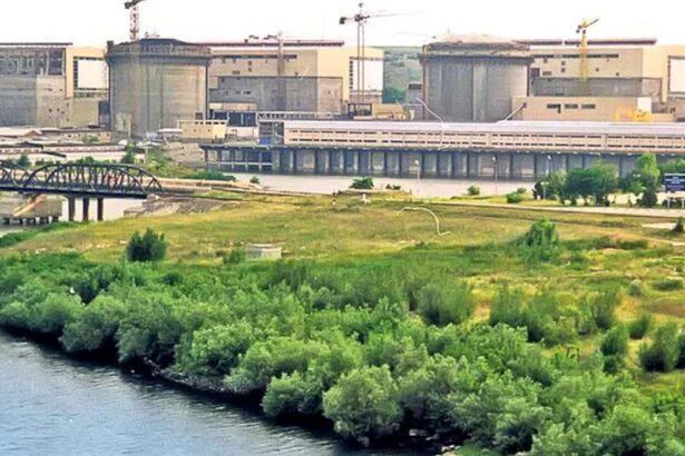 nuclearelectrica a scos la licitatie studiul de fezabilitate necesar dublarii productiei de fascicule de combustibil nuclear 69dbbce07960f