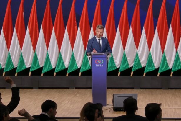 peter magyar a cerut demisia presedintelui ungariei si anunta modificarea constitutiei trebuie sa schimbam regimul tara a fost preluata de crima organizata 69dd008d4b689
