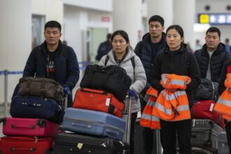 proceduri mai rapide bolojan a eliminat taxele pentru intermediarii care aduc muncitori asiatici 69ecc8ef6b70a