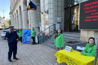 protest greenpeace impotriva neptun deep daca buzoianu e prea ocupata am venit noi la ea 23 de delfini au esuat recent pe plajele din constanta 69e9db183c0c7