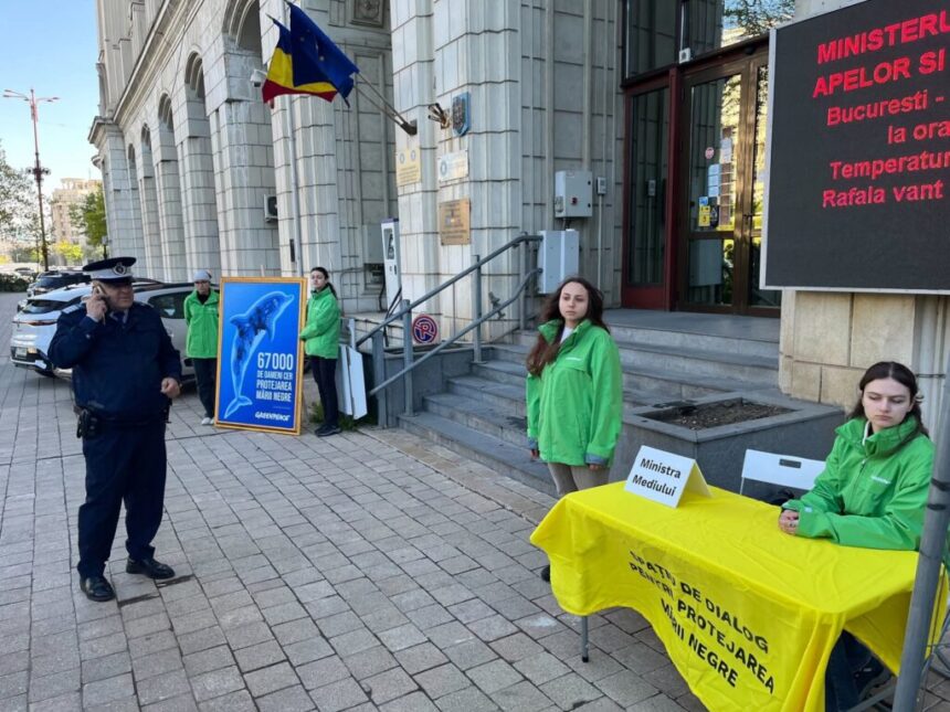 protest greenpeace impotriva neptun deep daca buzoianu e prea ocupata am venit noi la ea 23 de delfini au esuat recent pe plajele din constanta 69e9db183c0c7
