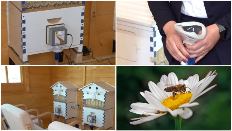 video metoda naturala inovatoare terapia cu aerul din stup judetele din romania unde oamenii pot face apiterapie e foarte benefica 69e478c8bf242