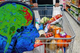 alimentul de 4 lei care repara celulele creierului este preferatul nutritionistilor pentru un creier sanatos si agil 6a06bb1914e2c