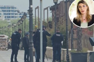 buzoianu mediu incurajeaza descinderile de pe litoral sunt dosare care au scos la iveala retrocedari ilegale afaceri dubioase pe sume serioase si foarte multi profitori 6a06ea1063847