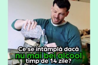 ce se intampla daca nu mai bei alcool timp de 14 zile experimentul facut de sorin gadola fondatorul festivalului untold 69f6e918d13e5