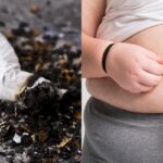 de ce se ingrasa oamenii care se lasa de fumat care e motivul si ce se intampla in creierul lor in realitate 6a06c0274f13c