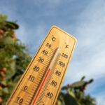 dupa ploi si furtuni romania va fi lovita de primul val de canicula se anunta temperaturi de 30 de grade 6a1045af3cdcd