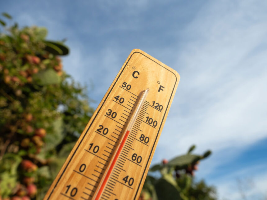 dupa ploi si furtuni romania va fi lovita de primul val de canicula se anunta temperaturi de 30 de grade 6a1045af3cdcd