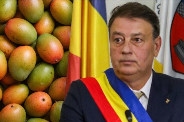 elevii din constanta vor primi mango la scoala mitroi le numeste produse agricole proaspete 6a01fd66e8d3e