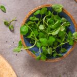 eroul ascuns din gradina pe care il poti manca planta mica dar surprinzatoare care devine tot mai populara in bucatariile urbane 6a0564eaa2b40