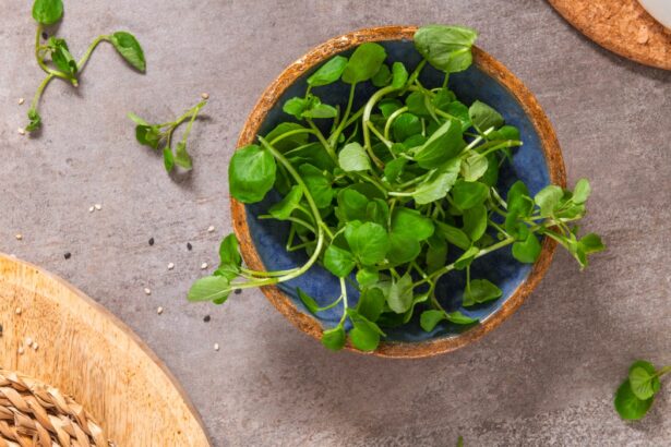eroul ascuns din gradina pe care il poti manca planta mica dar surprinzatoare care devine tot mai populara in bucatariile urbane 6a0564eaa2b40