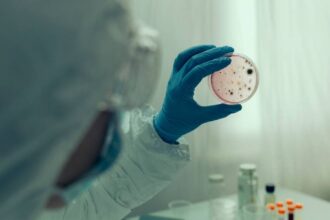 focar de norovirus pe o nava de croaziera din caraibe peste 100 de persoane infectate cum difera de covid 19 si hantavirus 6a0455b04d4c9
