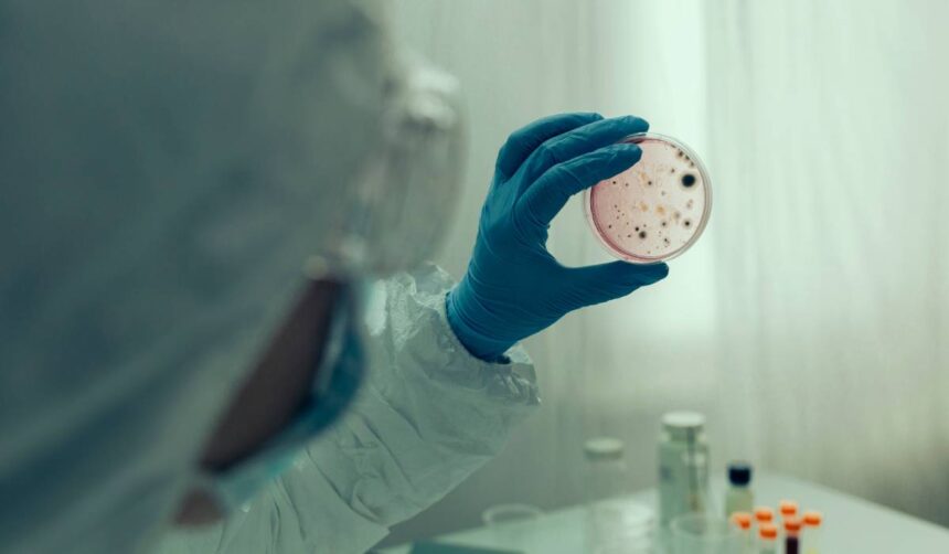 focar de norovirus pe o nava de croaziera din caraibe peste 100 de persoane infectate cum difera de covid 19 si hantavirus 6a0455b04d4c9
