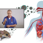 hantavirusul virusul transmis de rozatoare care ingrijoreaza europa medicul tudor ciuhodaru explica simptomele si cand trebuie sa ajungi urgent la spital 69fdf1188be35