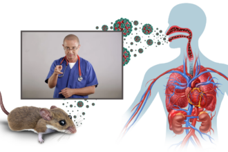 hantavirusul virusul transmis de rozatoare care ingrijoreaza europa medicul tudor ciuhodaru explica simptomele si cand trebuie sa ajungi urgent la spital 69fdf1188be35