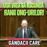 legea transparentei ong urilor senatorul sava trimite usr ul sa caute finantatorii gandacilor video 6a0c4c5446c88
