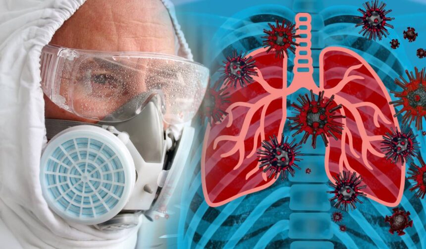 oms avertizeaza ca ar putea aparea noi cazuri de hantavirus dupa focarul de pe nava mv hondius o pacienta din franta este in stare grava 6a0560484358a