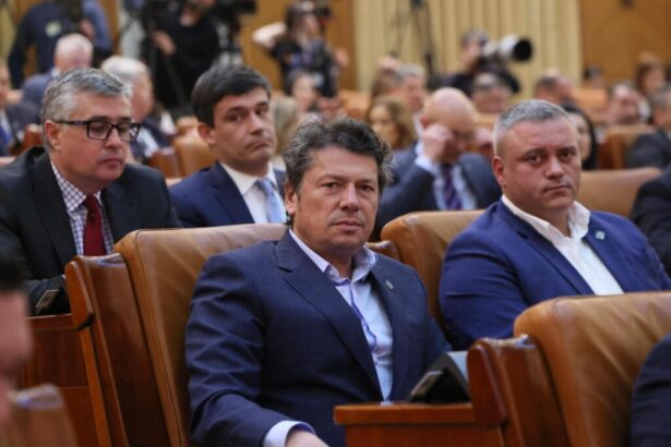 refuz deliberat de transparenta si incalcari grave ale legii georgescu psd asteapta demisia lui buzoianu mediu si a sefului abadl de opt luni astept niste raspunsuri 69fa2bb4b4df3