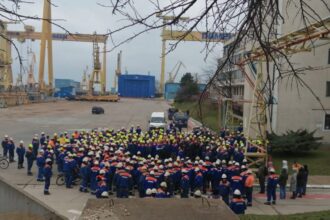 sase licitatii consecutive ale santierului naval mangalia pentru vanzare la pret de piata 6a0c1d3582a86
