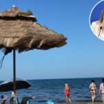 se interzice blocarea privelistii spre mare cu sezlonguri sau alte obiecte buzoianu mediu declara razboi culorilor agresive care afecteaza coerenta vizuala a lit 69fef31cce9d3