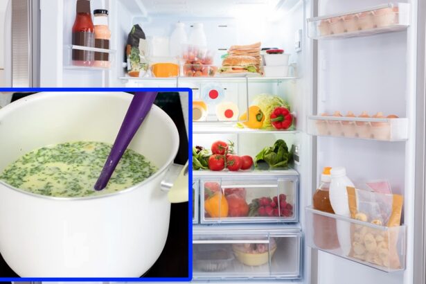 se mai poate manca ciorba radauteana daca a stat 3 zile in frigider ce spun expertii in nutritie si siguranta alimentara 6a095e19b6c62