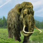 un mamut pastrat timp de 70 de ani intr un muzeu s a dovedit a fi cu totul altceva ce animal era de fapt 6a1c8e99d50de