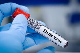 un nou vaccin experimental impotriva ebola dezvoltat la oxford ar putea intra in teste in urmatoarele luni 6a1460099e816