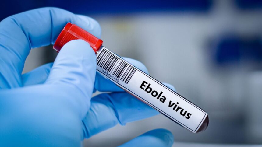 un nou vaccin experimental impotriva ebola dezvoltat la oxford ar putea intra in teste in urmatoarele luni 6a1460099e816