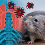 un pompier din caras severin e suspect de hantavirus ce simptome a avut in ultimele 3 saptamani 6a104f17f07c7