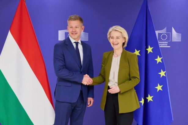 ungaria ramane pe linia coliziunii cu bruxelles ul budapesta respinge reformele cerute de ue privind pensiile si taxele 6a1099a996616
