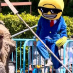 video incident la gradina zoologica unde locuieste celebrul pui de maimuta punch ce a facut un influencer american 6a0c4c4f6e6cc