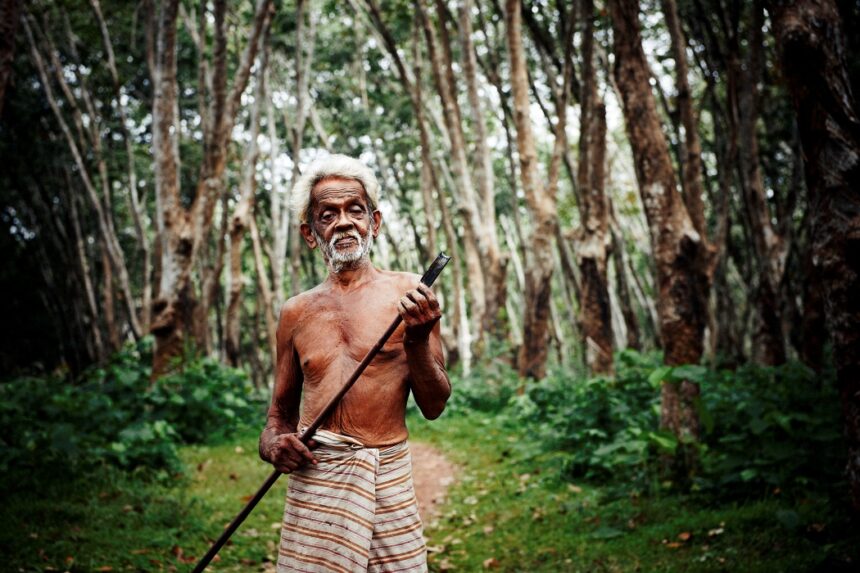 descoperire socanta despre neanderthali consumau larve in mod intentionat motivul ii uimeste pe cercetatori 6a1eae58cd7be