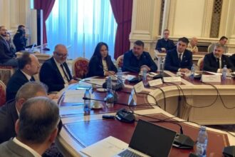 schimb aprins de replici intre senatorii constanteni sava pace si negoi usr in audierile pentru conducerea institutului cultural roman eu apar cultura romana spre deosebire de usr care 6a1eb8409bf27