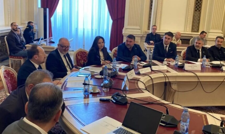 schimb aprins de replici intre senatorii constanteni sava pace si negoi usr in audierile pentru conducerea institutului cultural roman eu apar cultura romana spre deosebire de usr care 6a1eb8409bf27