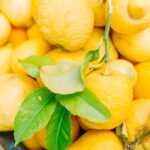 trucuri simple ca sa pastrezi lamaile suculente mai mult timp vara si sa nu se mai usuce in frigider 6a1eeb5e88732